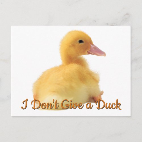 Dont Give a Duck Cute Duckling Postcard