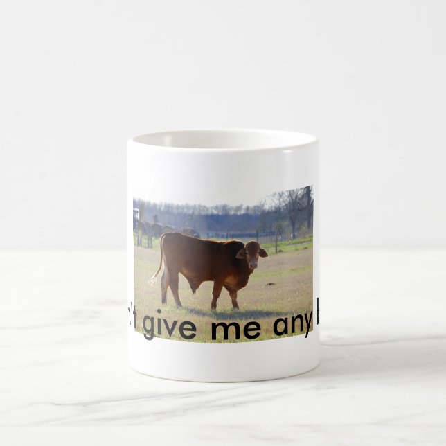 Don't give me any bull! mug (Center)