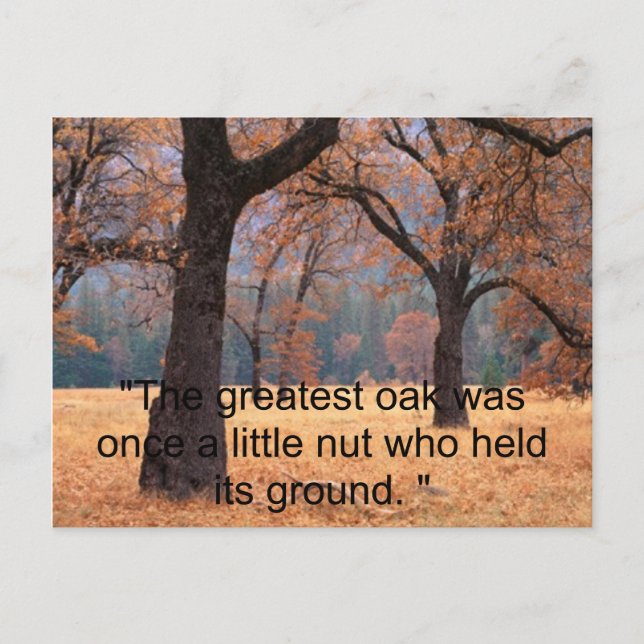 Don't Give Up Postcard (Front)