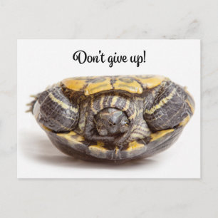 Don't Give Up Upside Down Turtle Encouragement Postcard