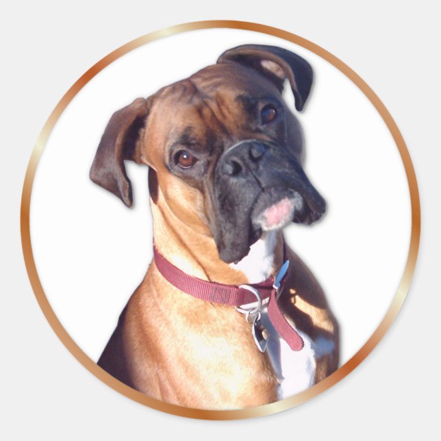 Don't Go Classic Round Sticker (Front)