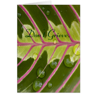 Don't Grieve. Cards