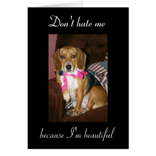 Don't hate me, because I'm beautiful Cards (Front)