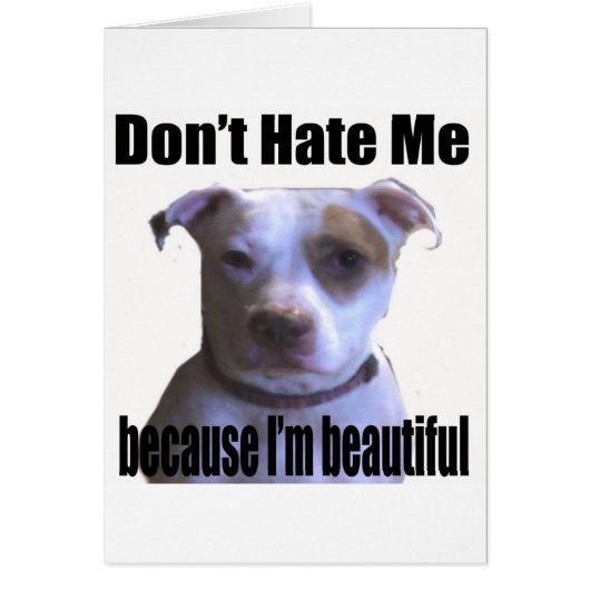 Don't Hate Me because I'm beautiful Pit Bull Cards (Front)