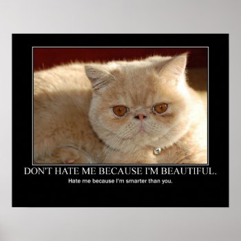 Don't Hate Me...cat Artwork Funny Poster by artisticcats at Zazzle