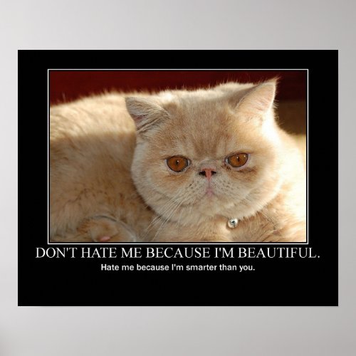 Dont Hate MeCat Artwork Funny Poster