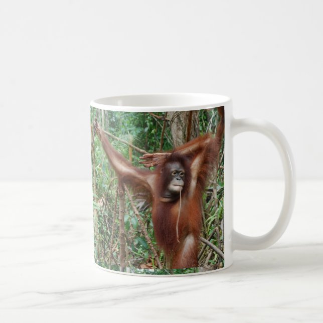 Don't Hate Me for Being Beautiful Funny Orangutan Coffee Mug (Right)