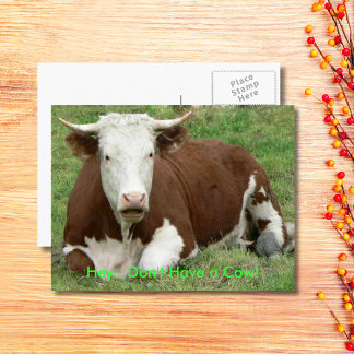 Don't Have a Cow Have the Bird Thanksgiving, ZSSG Holiday Postcard