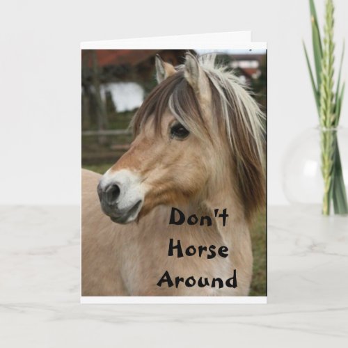 DONT HORSE AROUND  GET WELL SOON CARD