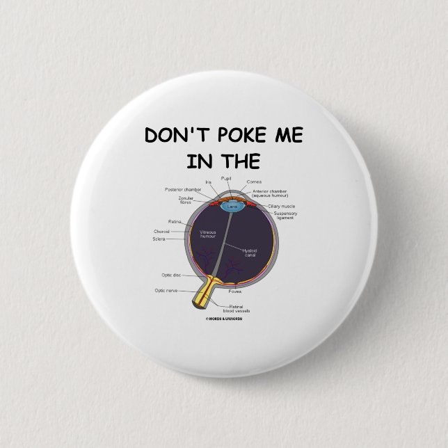 Dont Ke Me In The Eye Eye Anatomy Attitude  Button (Front)