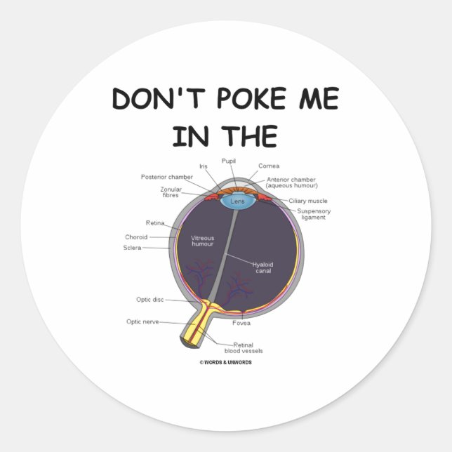 Dont Ke Me In The Eye Eye Anatomy Attitude  Classic Round Sticker (Front)