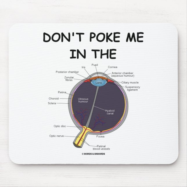 Dont Ke Me In The Eye Eye Anatomy Attitude  Mouse Pad (Front)