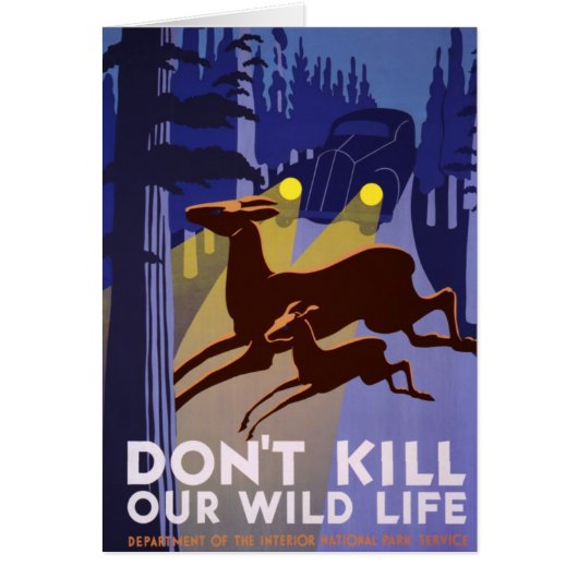 Don't Kill Our Wild Life Cards (Front)