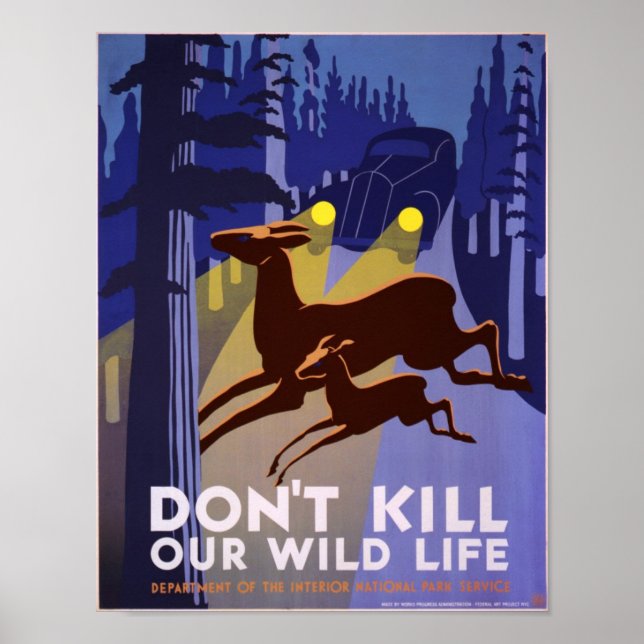 Don't kill our wildlife poster (Front)