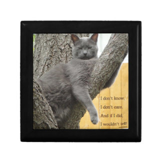Don't know, don't care grey cat in a tree keepsake box