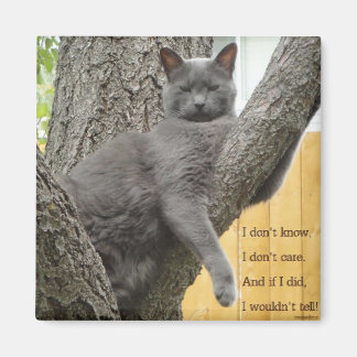 Don't know, don't care grey cat magnet