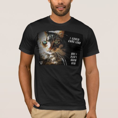 Dont Know How to Care less Cat Meme T_Shirt