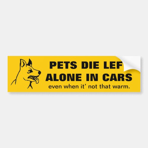 DONT LEAVE YOUR PETS ALONE IN A CAR BUMPER STICKER