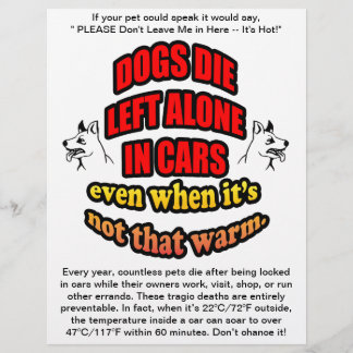 DONT LEAVE YOUR PETS ALONE IN A CAR FLYER