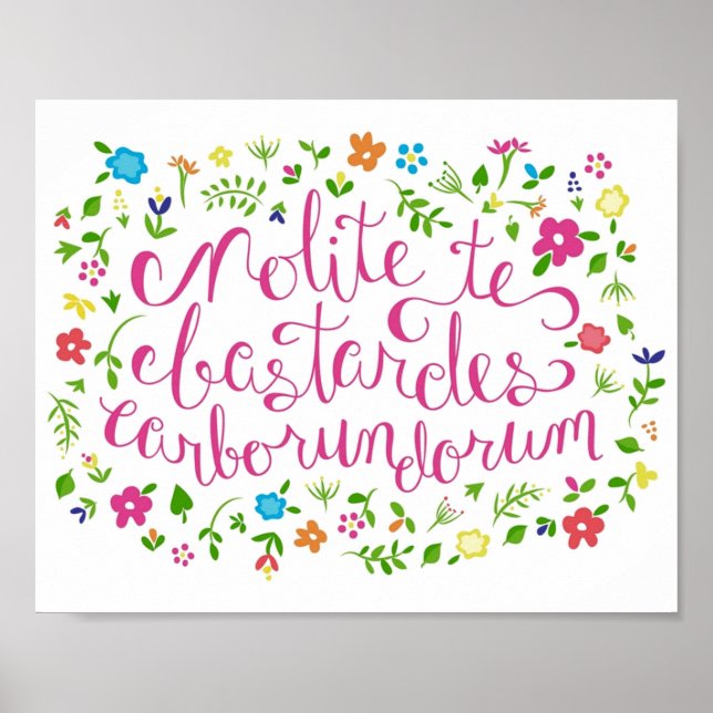 Dont Let the Bastards Grind You Down  Rainbow Flor Poster (Front)