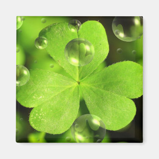 Don't Let Your Luck Wash Away Magnet