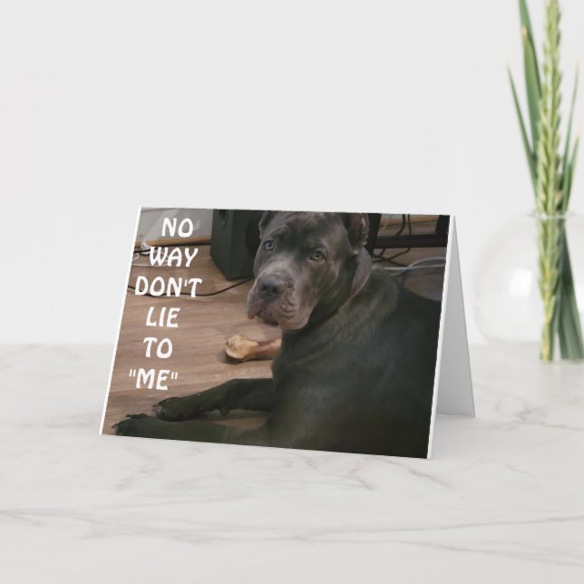 DON'T LIE TO ME YOU CAN'T BE 18!!!! CARD (Front)