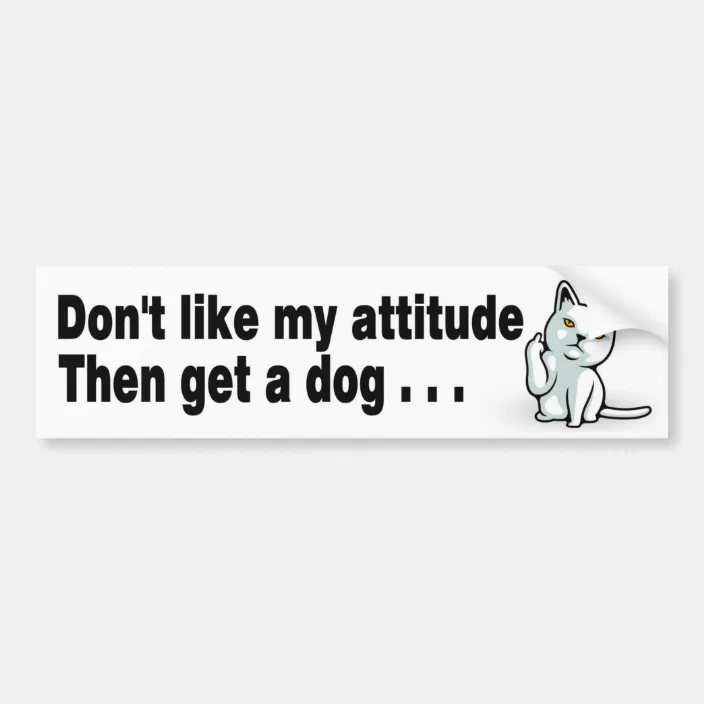 8 x 2 inches funny cat car bumper sticker dont like my attitude get a dog  200 x 52 mm