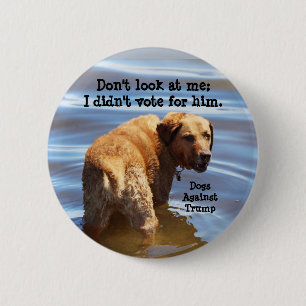 Don't look at me: I didn't vote for him Button