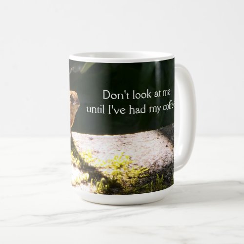 Dont Look At Me Until Ive Had My Coffee Lizard Coffee Mug