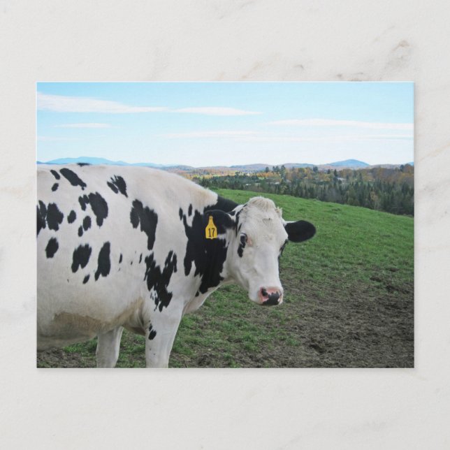 Don't Look Back Postcard (Front)