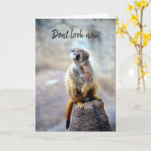 Don't look now - Birthday Card