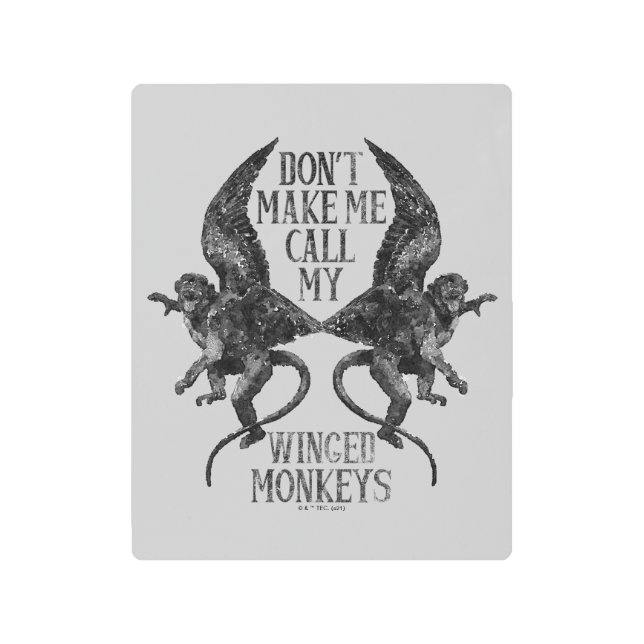 Don't Make Me Call My Winged Monkeys™ Metal Print (Front)