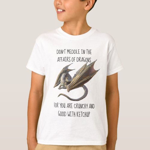 Dont Meddle in the Affairs of Dragons T_Shirt