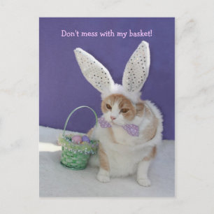 Don't Mess with My Basket! Postcard