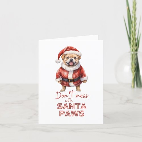 Dont mess with Santa Paws cute dog lover  Holiday Card
