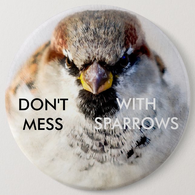 Don't Mess With Sparrows Pinback Button (Front)