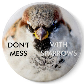 Don't Mess With Sparrows Pinback Button