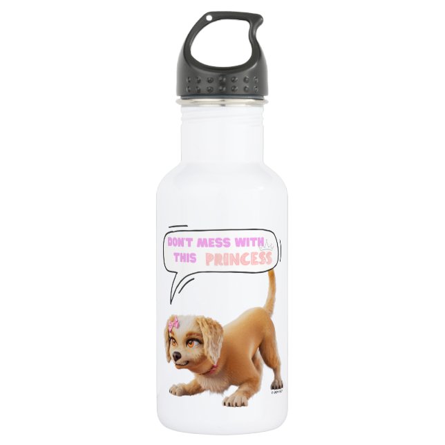 Don't Mess with This Princess Stainless Steel Water Bottle (Front)