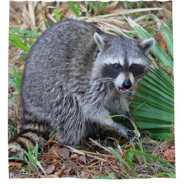 Don't Mind Me, Just Passing Through Shower Curtain (Front)