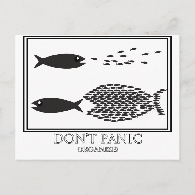 Dont' Panic be Organize! Postcard (Front)