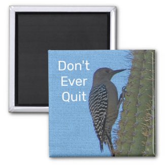 Don't Quit Encouraging Woodpecker Photo Motivation Magnet