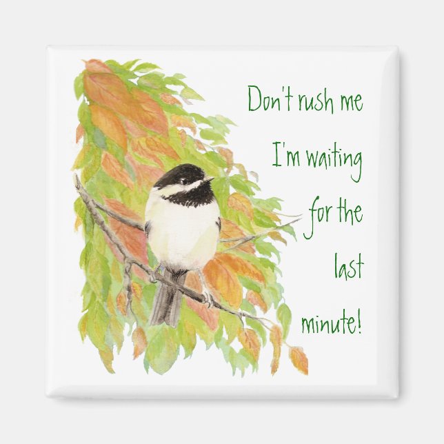 Don't Rush Me Procrastination Fun Bird Humor Magnet (Front)