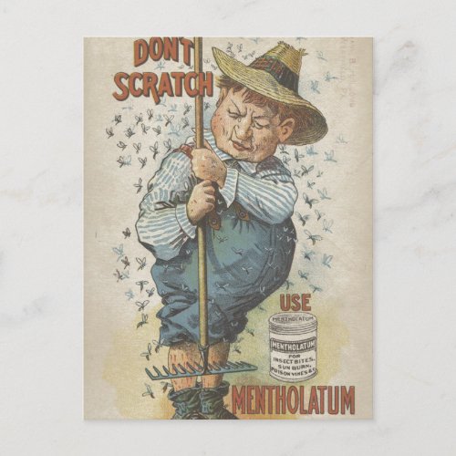 Dont Scratch Use Mentholatum Ephemera Postcard