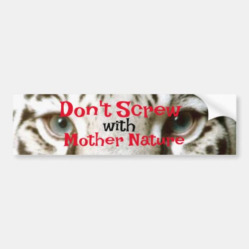 Dont Screw with Mother Nature White Tiger Big Cat Bumper Sticker