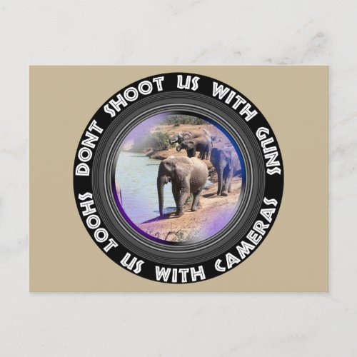 Dont Shoot Us Wildlife Conservation Elephant Water Holiday Postcard