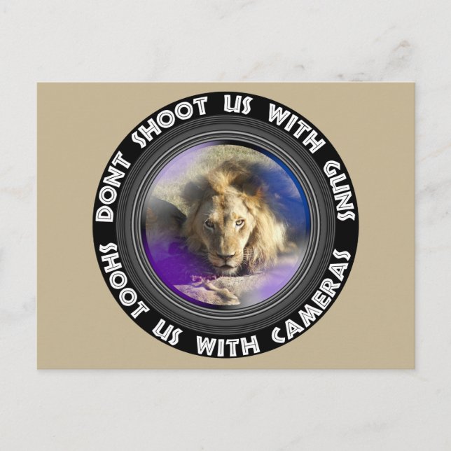 Dont Shoot Us Wildlife Conservation Lion Stare Holiday Postcard (Front)
