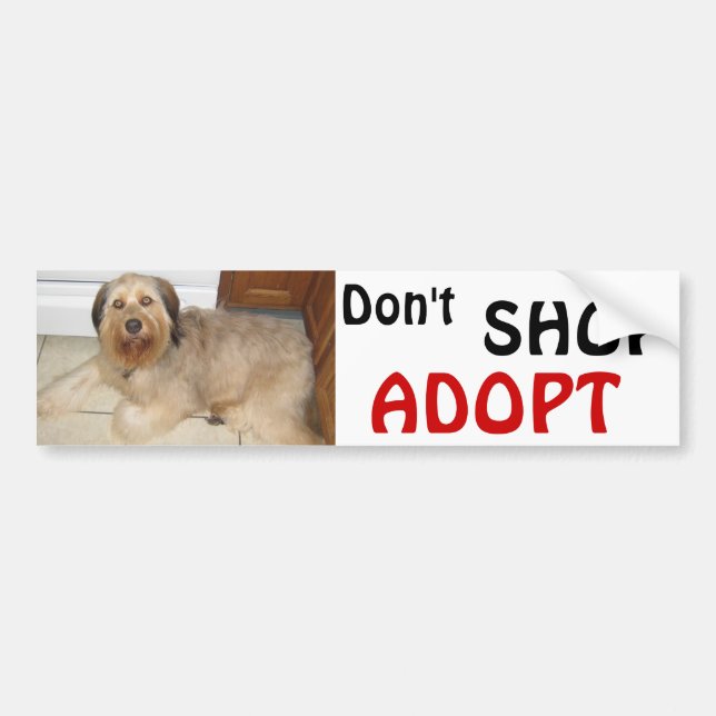 Don't SHOP ~ ADOPT! Bumper Sticker (Front)