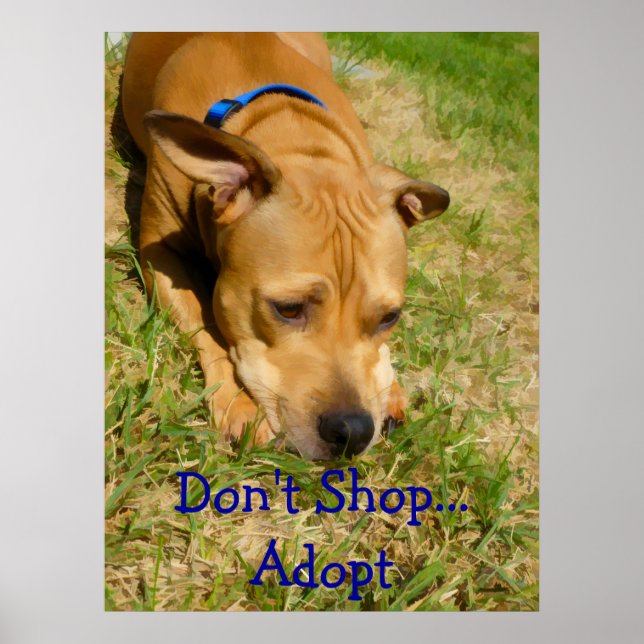Don't Shop...Adopt Poster (Front)