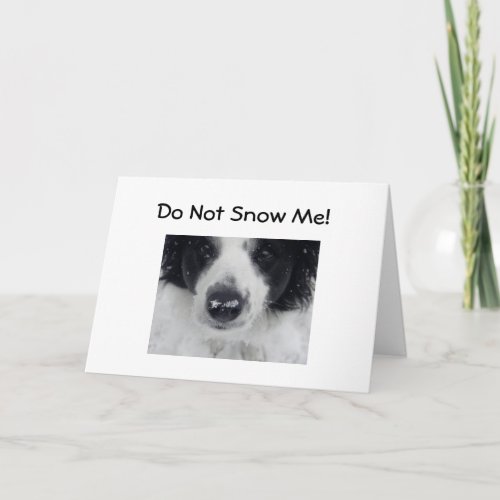 DONT SNOW ME_50th BIRTHDAY HUMOR Card
