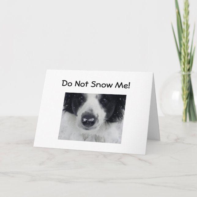 DON'T SNOW ME-50th BIRTHDAY HUMOR Card (Front)